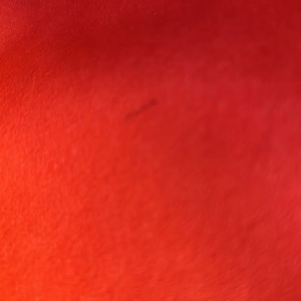 LOUIS VUITTON PALLAS MM - Used One Time - Picture 14 of 17